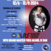 ITF Technical seminar conducted by GM Fred Akard IX, Dan